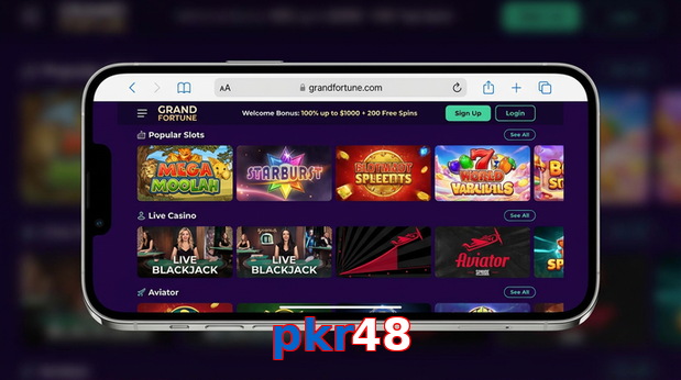 Main screen of Pkr48 ios page for PK players